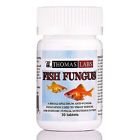 0-0024-t01 Thomas Labs Fish Fungus 667297831054