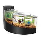 0001590501219 Aqueon Betta Fish New