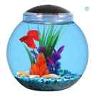 0004914600100 Aqua Culture Generic Globe 1 Gallon Betta Aquarium Plastic