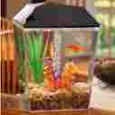 0004914611102 Aquaculture Aquarium Kit Tank Led Light Lighting Filter Fish Food Bowl Office Room Kids Pet 707571970182