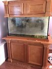 0030172077050 Salt Water Fish Tank Aquarium