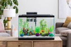 0047497961247 Aqua Culture Aquarium Starter Kit Fish Tank With