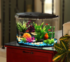 0049146060004 Aqua Culture Gallon Aquarium With Led Lighting And
