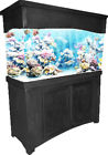 008885 Rj Enterprises Calypso Birch Series Aquarium Stand