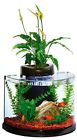 01043 Elive Aquaduo Gallon Betta Aquarium Fish Tank Kit 0081997010432