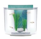 015561128599 Marina Aquarium Kit Splash