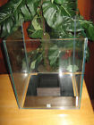 015561339544 Fluval Chi Glass Tank