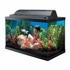 015905177504 Aqueon Aquarium 10 Basic