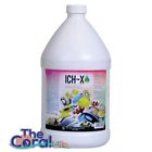 042055733182 Hikari Saltwater Ich-x 1-gallon