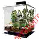 044203 Tetra Aquarium Fish Tank Led Light 3 Gallon Square Bowl Filter Starter Kit Home Decor 790887044203