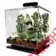 046832 Tetra Aquarium Fish Tank Led Light 3 Gallon Square Bowl Filter Starter Kit Home Decor 790887046832