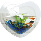 049022199217 Kaze Home Wall Mount Hanging Betta Fish Bubble