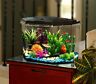 049146786508 Koller Products Smart Tank Aquarium Led Lighting Multiple