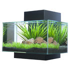 049319a260b84d58be671235dd28e5f0 Archie Oscar Hank Gallon Edge Aquarium Kit
