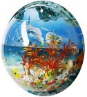 0602798999681 Supperacrylic 1 Gallon Acrylic