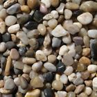 0674775955126 Polished Plant Gravel 5 674775955126