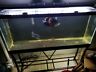 0689721307058 Fluval Aquarium