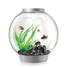 0822728000977 Biorb Classic Led Silver Aquarium
