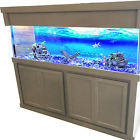 09b34b08045641bbb42aeb96c6a1bd92 Tucker Murphy Pet Mattson Aquarium Stand