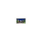 10-100-12503 Seaclear 50 Gallon Rectangular 019034125030