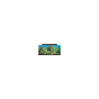 10-100-15301 Seaclear Gallon System Ii Aquarium Combo Black 019034153019