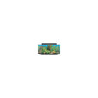 10-100-35261 Seaclear Gallon Flatback Hexagon Aquarium Combo Black 019034352610