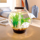 10-100-94179 Biorb Baby 4 Gallon 822728002193