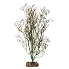 100109850 Aqueon Coral Aquarium Plant Aquariums Tanks Fish Pet 700580132206