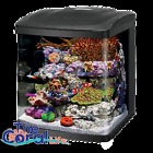 100115661 Coralife New Style Size 16