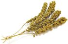 10022053501515 Lm Animal Farms Millet