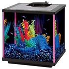 100536355 Aqueon Neoglow Starter Kits Led Aquarium Kit Gallon 015905001120