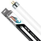 1011 Sunwae High Output Lamp Pack Of