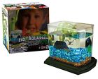 10110110 Wild Jewel Ecoaquarium All 850780002080