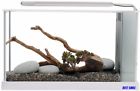 10518bs Fluval Aquarium Tank Fish 688951349982