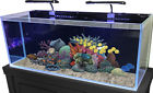 112575 Rj Enterprises Gallon Rimless Glass Combo Aquarium Kit