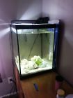 11371 Aqueon 37 Gallon Fish