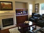 120gl Gorgeous Bowfront Salt Water Aquarium