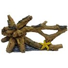 12216 Marina Driftwood Starfish Betta 015561122160