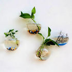 12cm Unbranded Acrylic Wall Mount Hanging Fish Bowl Aquarium Tank Beta