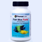 130886 Thomas Labs Fish Mox Forte Amox Antibacterial Medication Mg Count