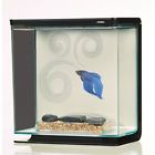 13411 Betta Kit Starter Kits 015561134118