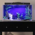135r-black. Clear For Life Rectangle Aquarium Black In 637441004450