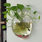 1403695001 Yooyoo Creative Acrylic Hanging 611745157043