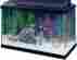15905100151 All Glass Aquariums Aquarium Fish Tank 15 Gallon Fresh Water Home Office New 15905100151 All Glass Aquariums Aquarium Fish Tank 15 Gallon Fresh Water Home Office New