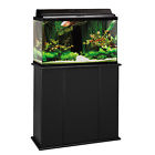 16291 Aquatic Fundamentals Black Upright 664255000071