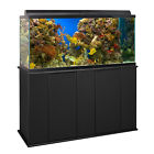 16751 Aquatic Fundamentals Black Upright 664255000118