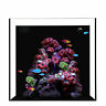 180035 Waterbox Cube Gallon Aquarium 850000451025