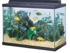 1684 24 36x18 Glass Aquarium Black Gal 65