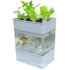 242010 Unbranded New Water Garden 615311292107