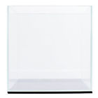 25c Ultum Nature Systems Rimless 863741000346